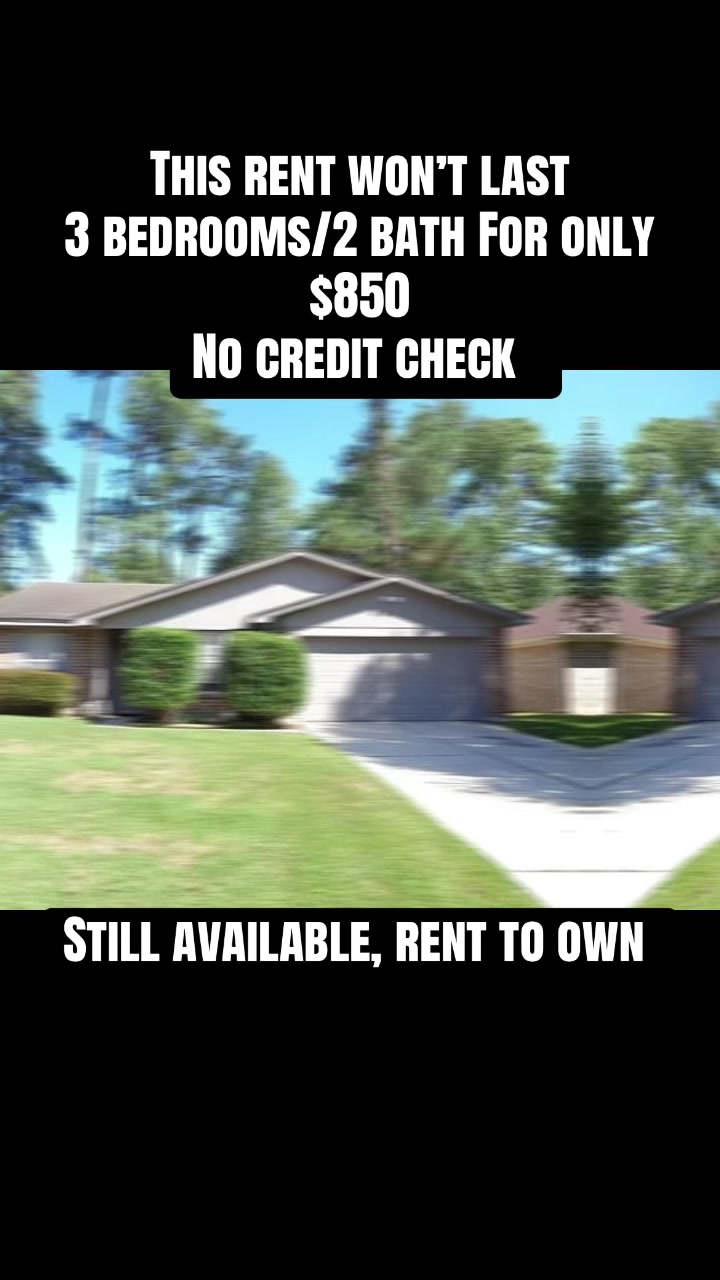 @Evelyn Harper Realtor🇺🇸