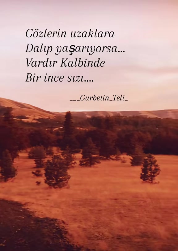 @@Gurbetin_Teli