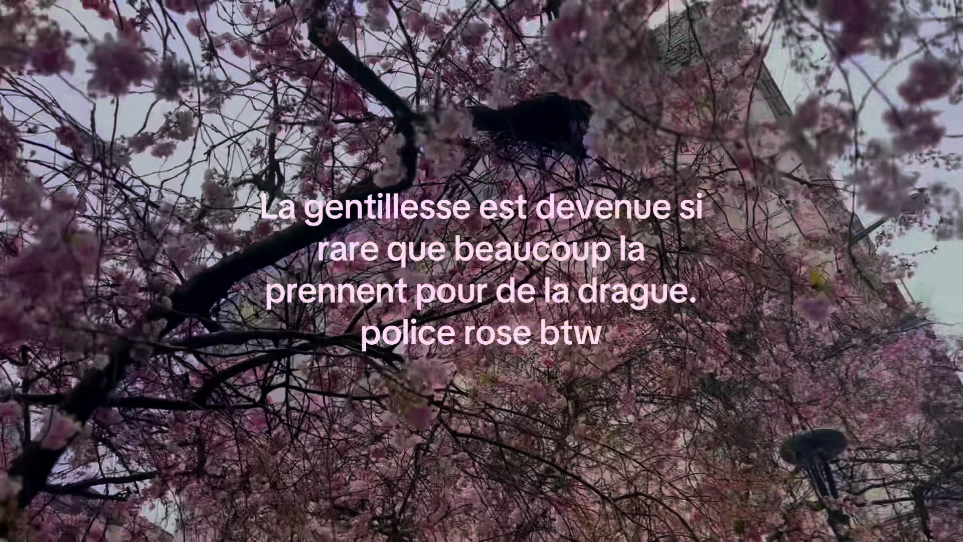 @Cendres
