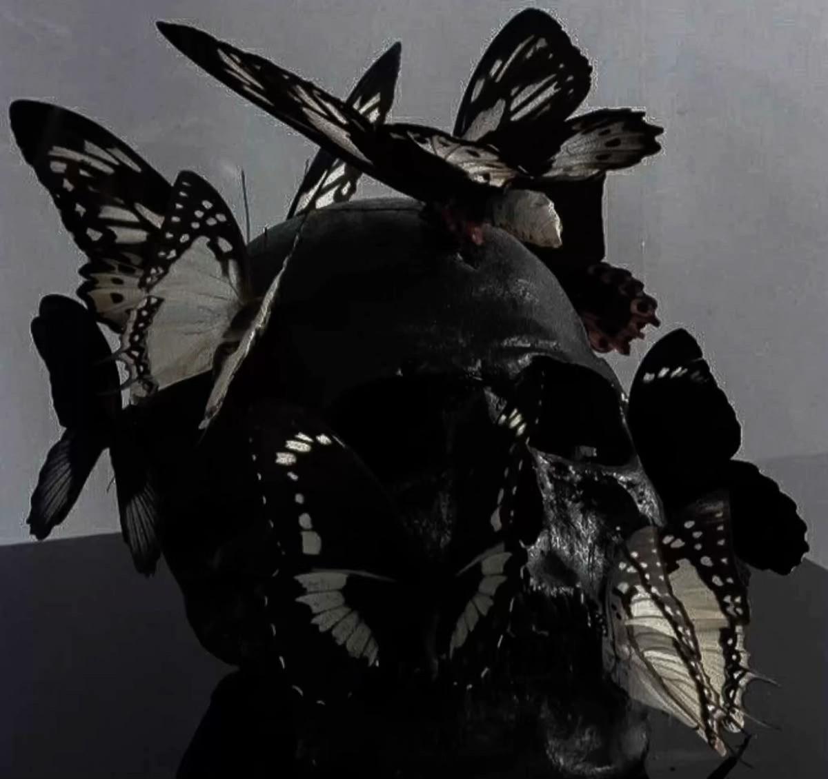 @ᢉ𐭩 ࣪𝖕𝖍𝖊𝖊𝖇𝖘 |🖤🌶️ ₊˚⊹ᰔ