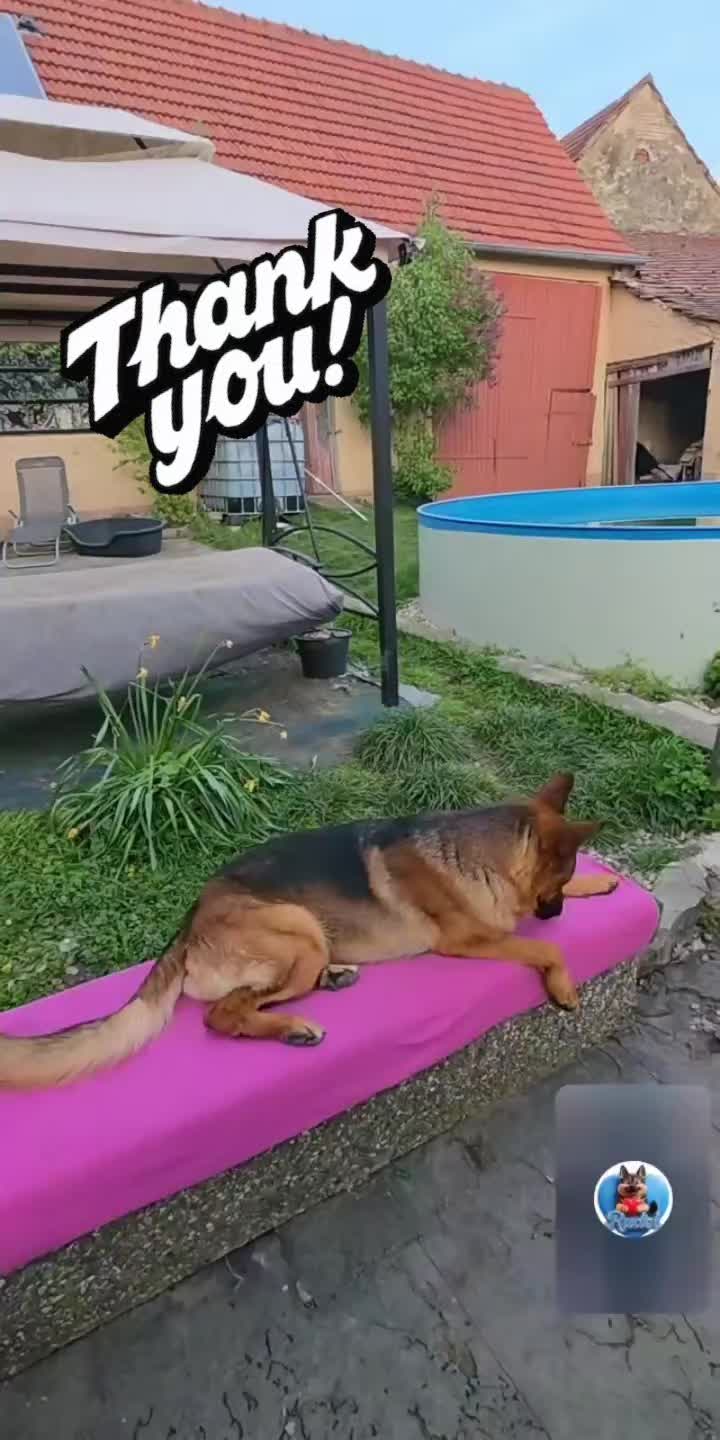 @Akashija