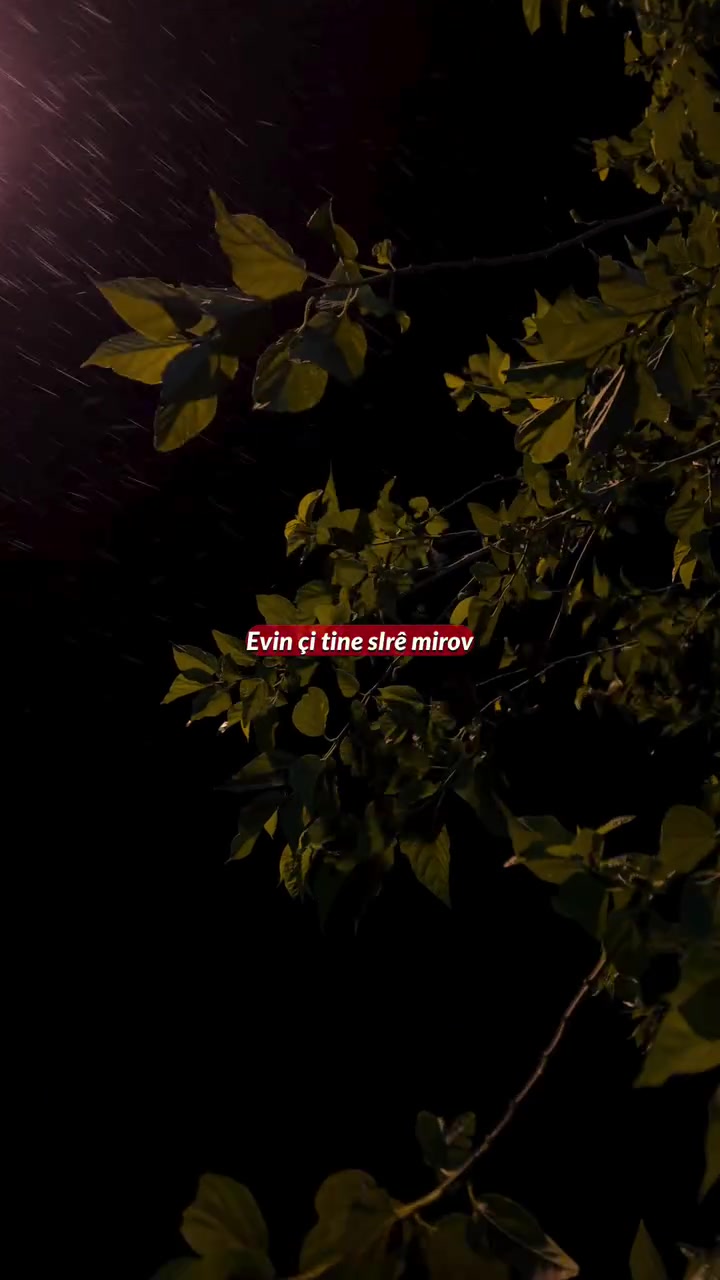 @𝐊𝐔𝐑𝐌𝐀𝐍𝐂𝐈
