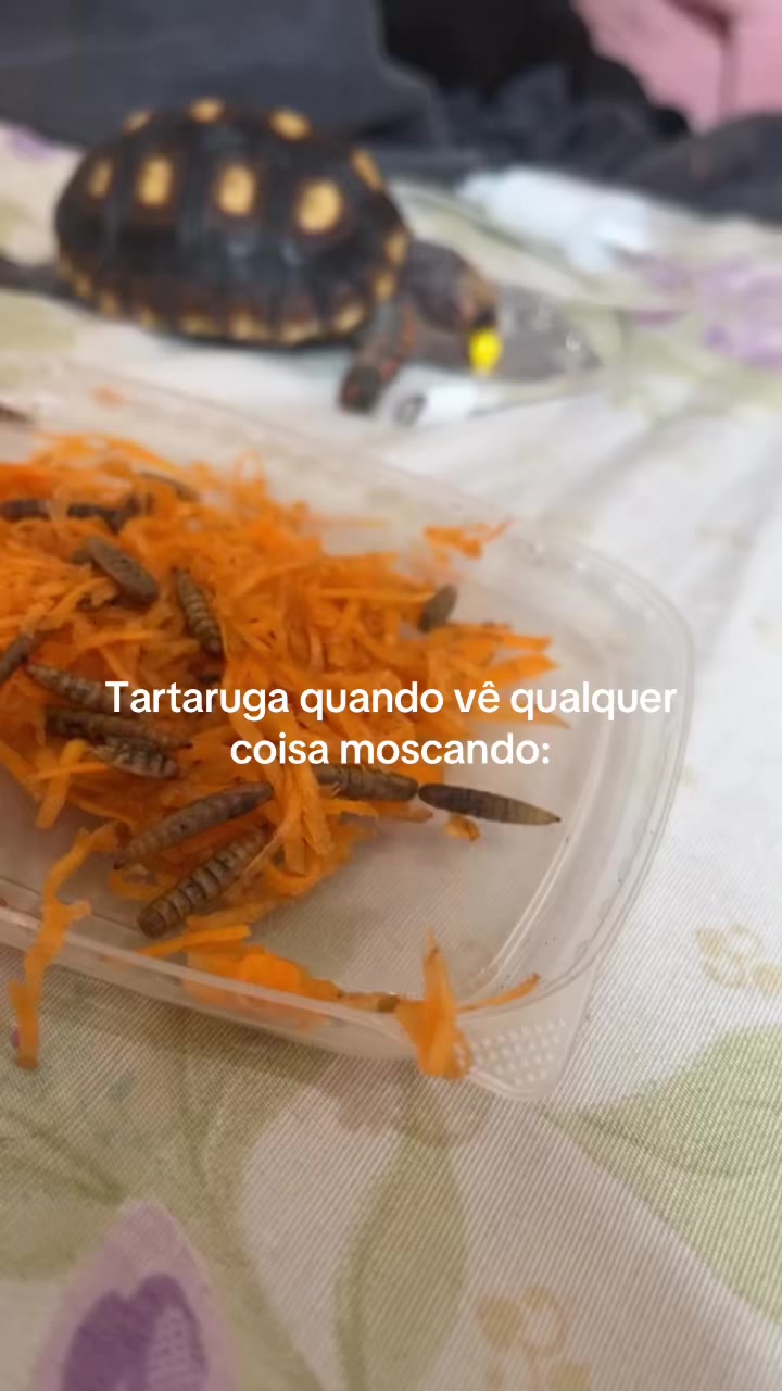 @Eve🥕