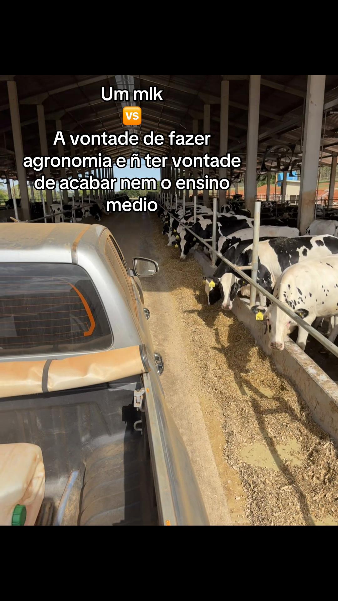 @Morais 🇧🇷