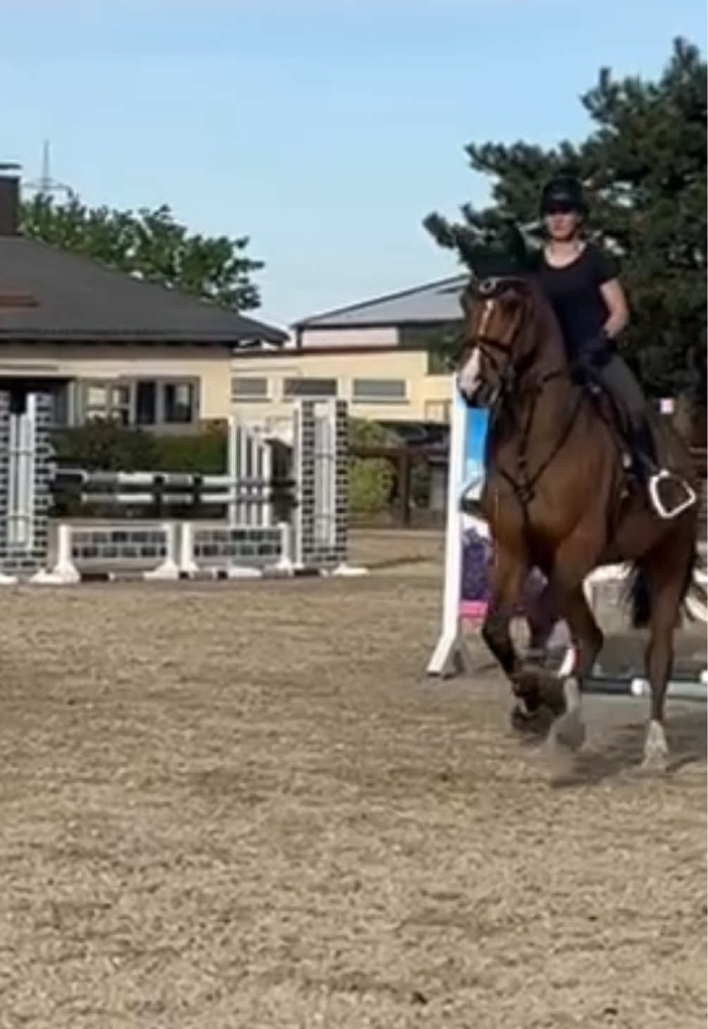 @La.Dolce.Horses