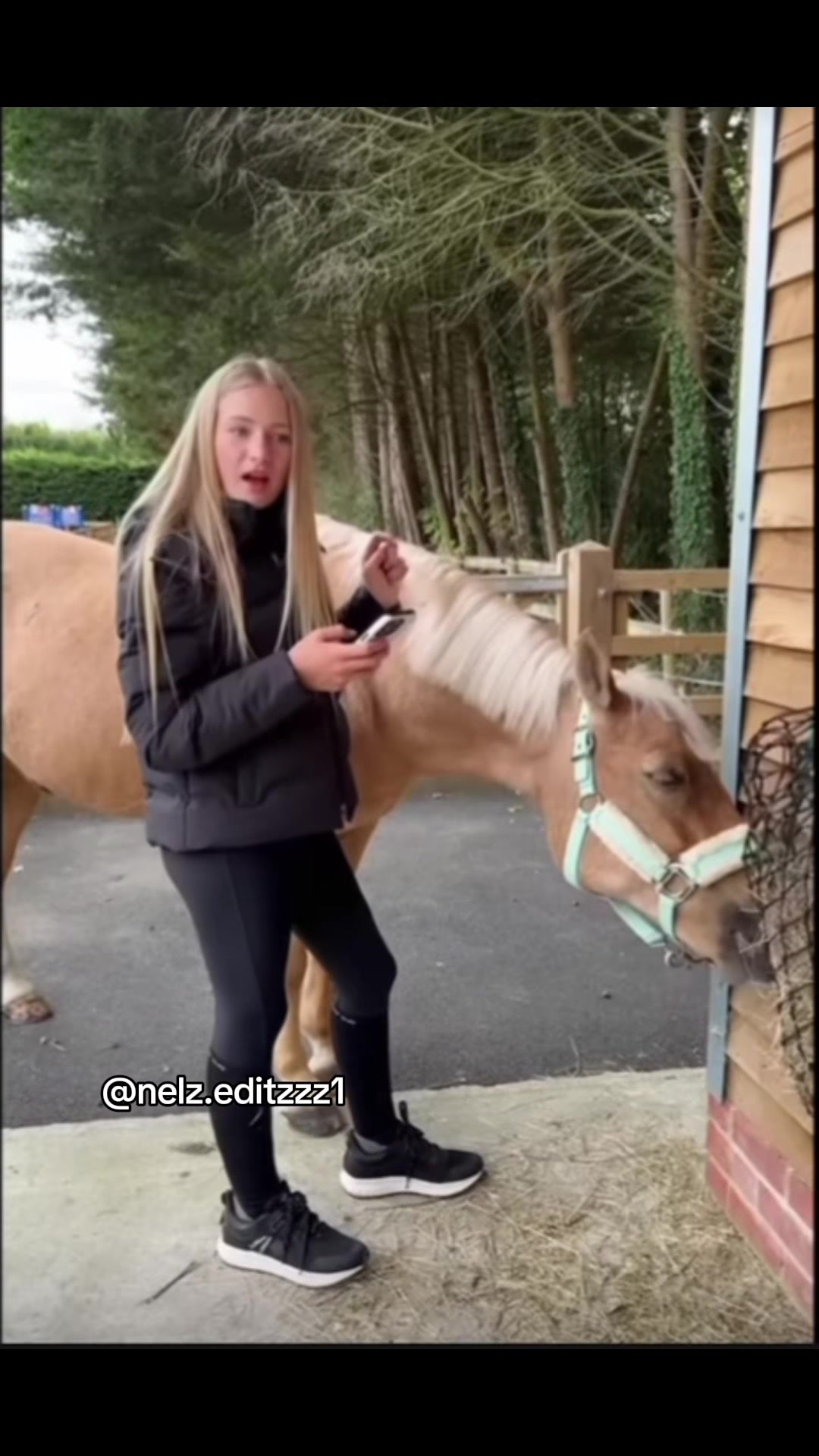 @Naomi🐴✌️(Freya’s version )