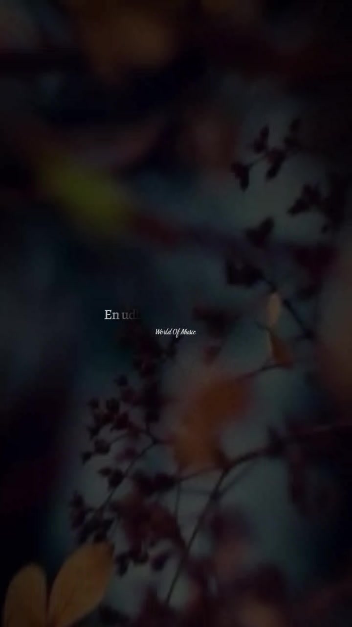 @🎼𝕸𝖚𝖘𝖎𝖈🎼𝖇𝖚𝖙🎼✍️