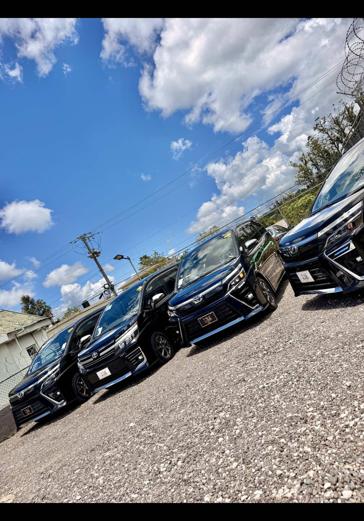 @di lastest automotives