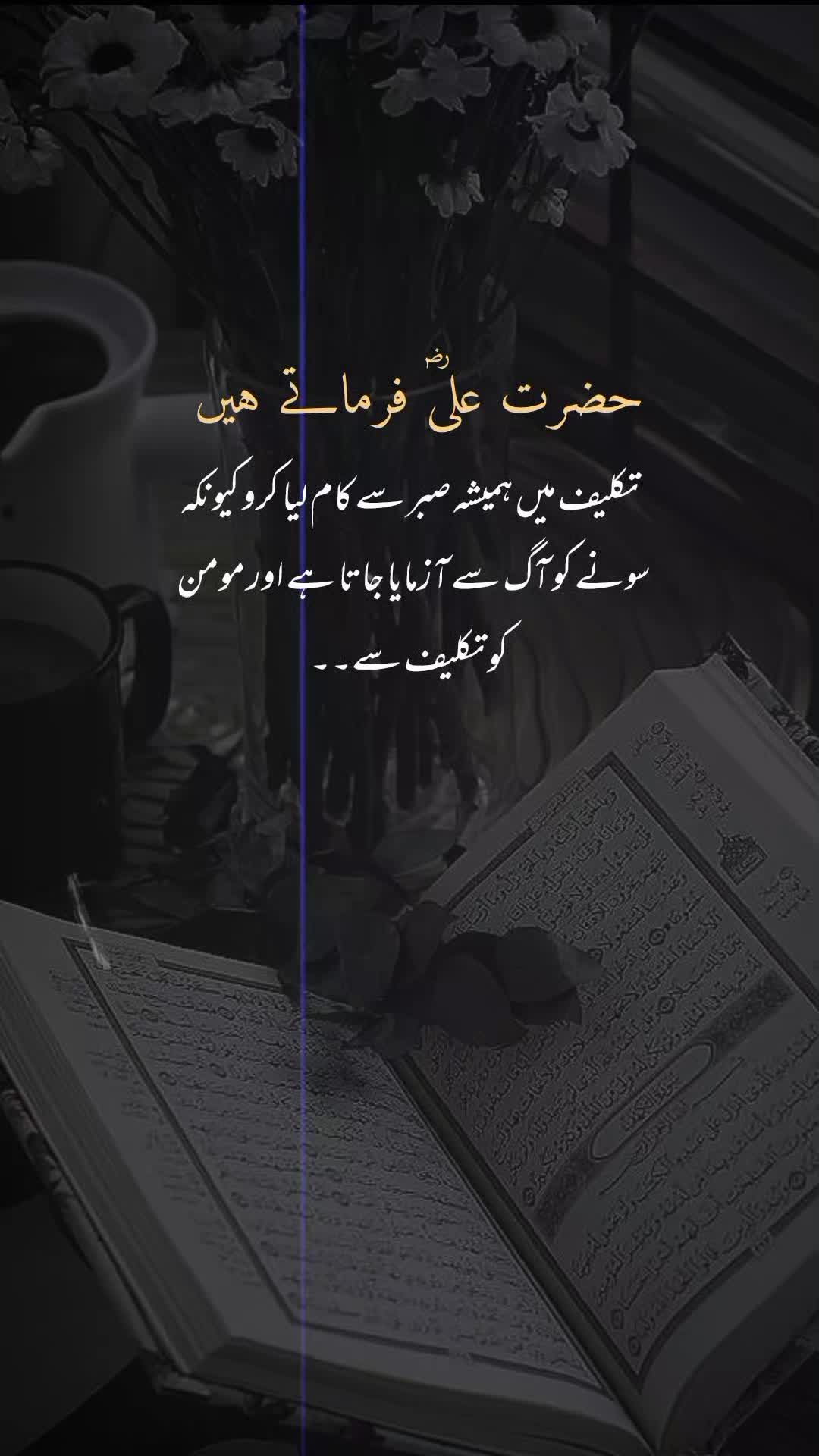 @اقصیٰ 🦋