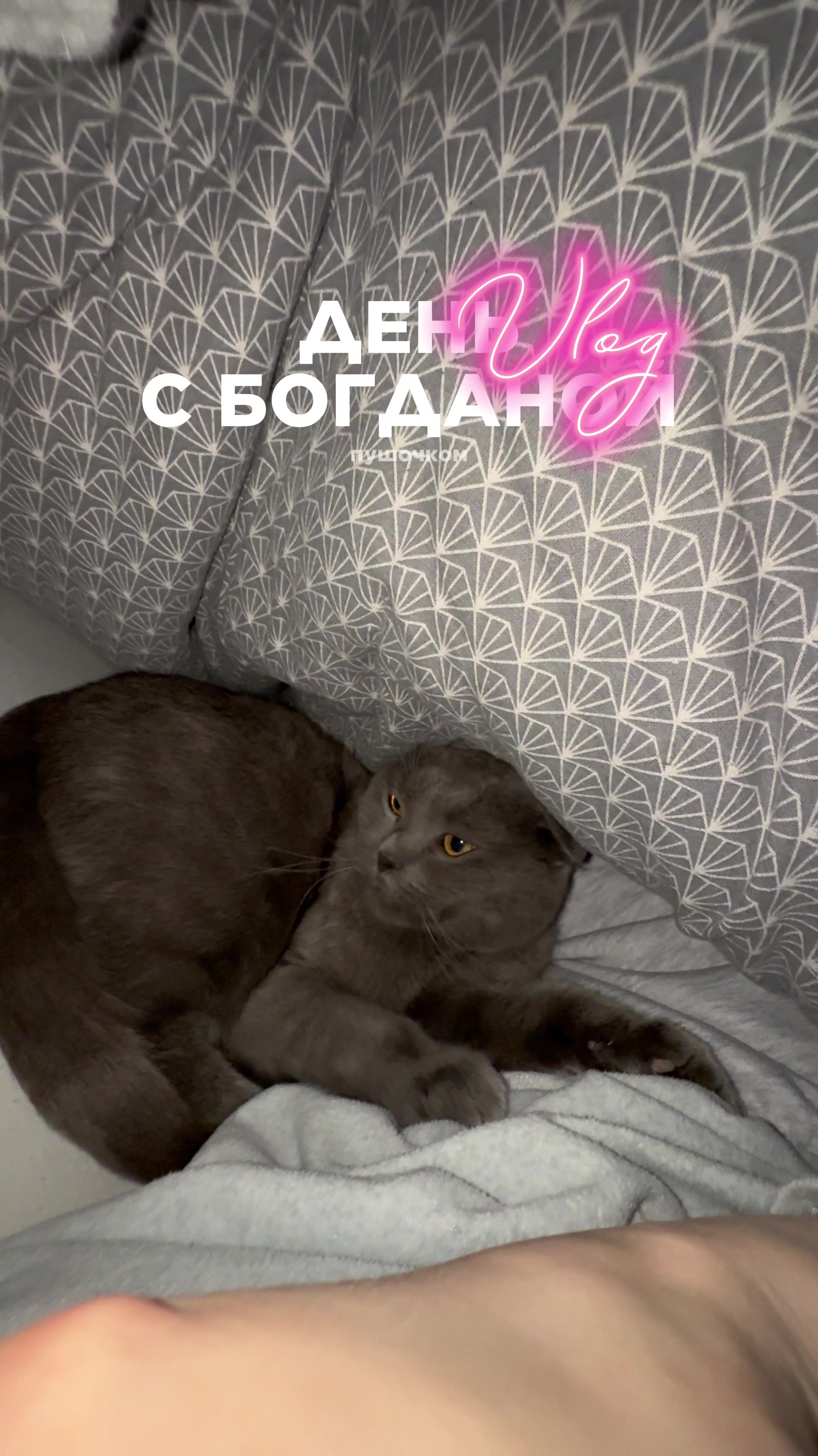 @bogdana 🇺🇦