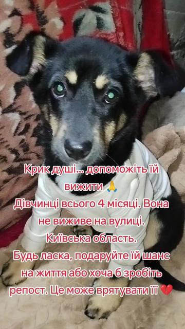 @viktoria)