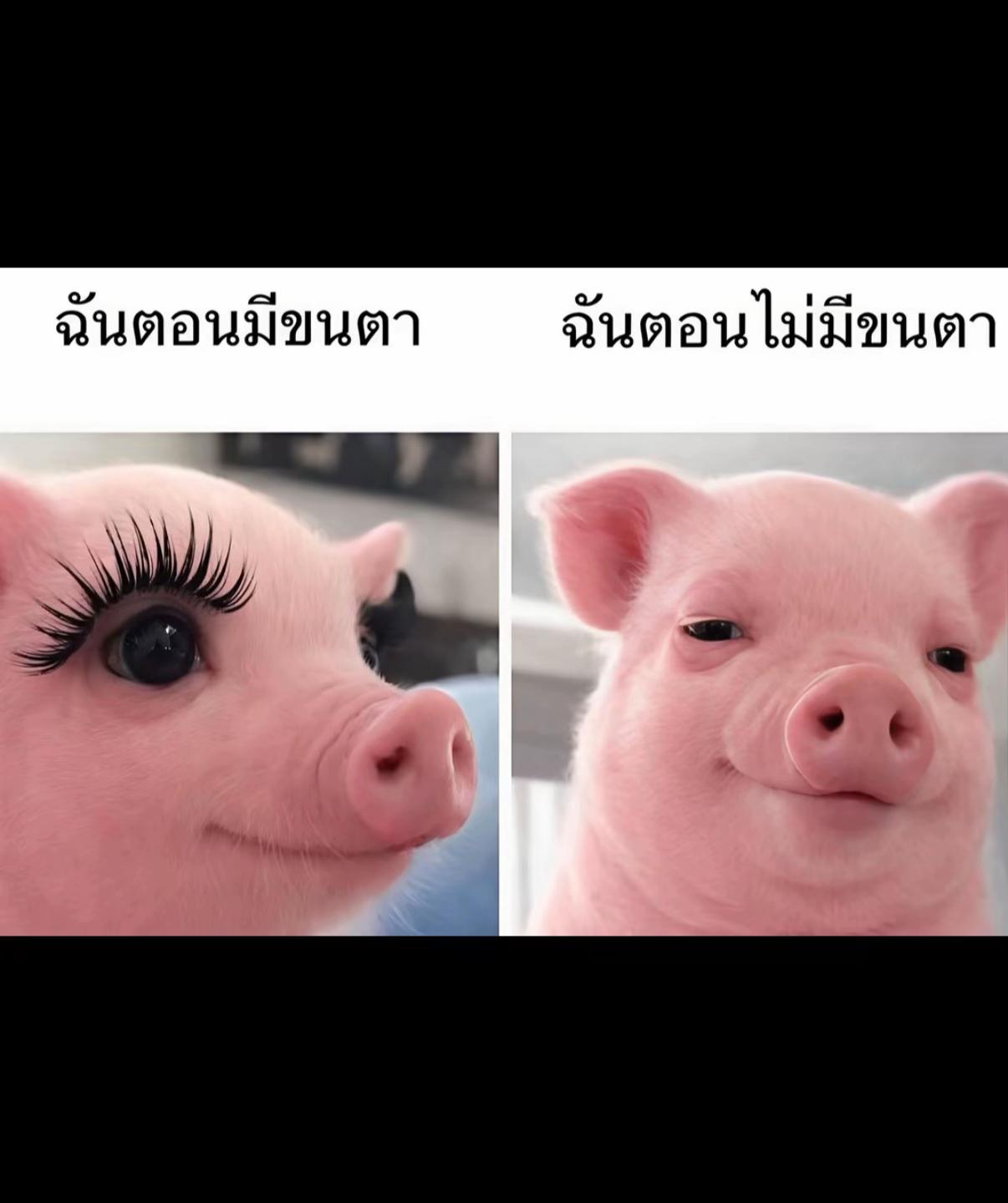 @Eye nanchani