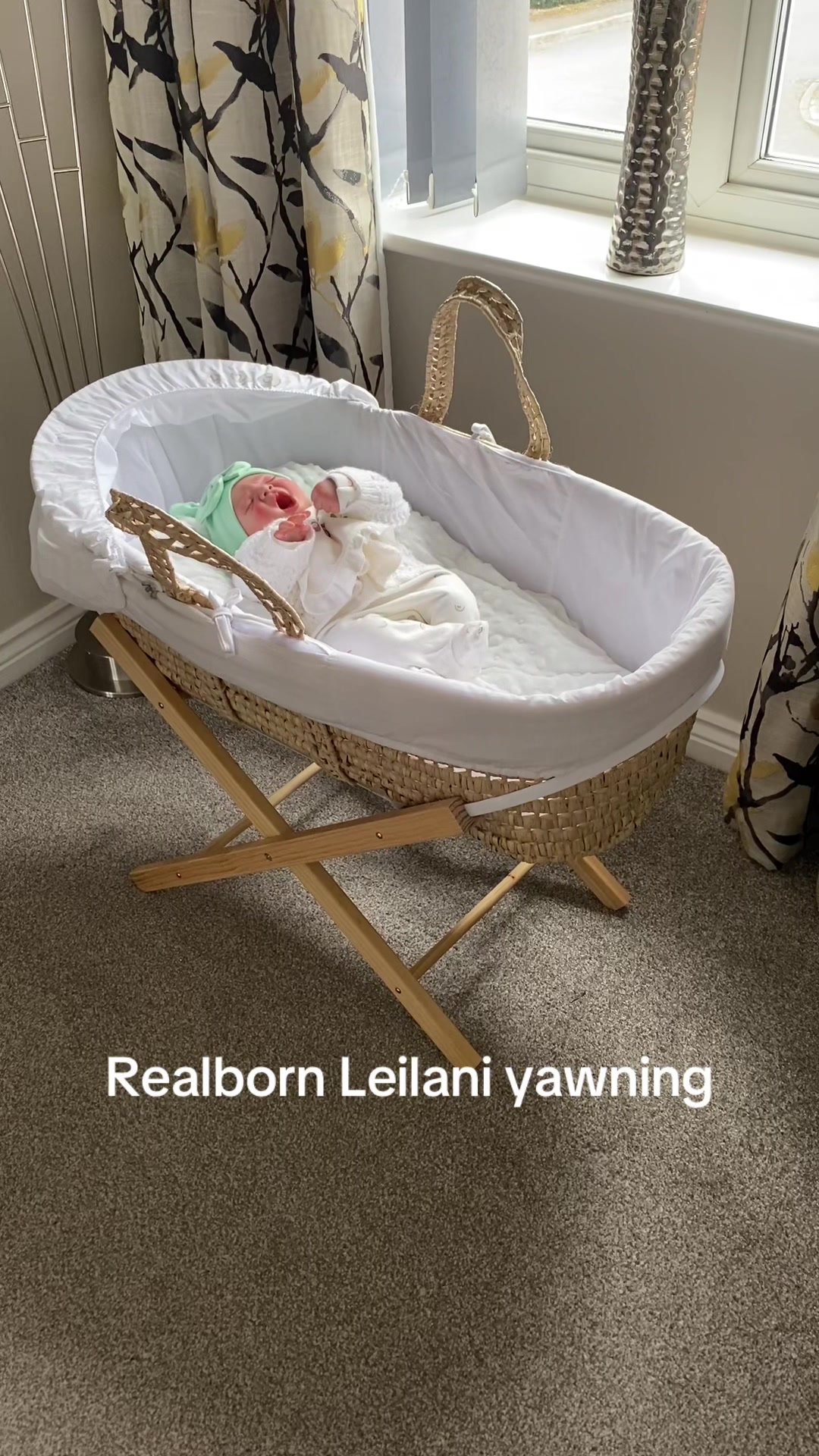 @Miss Bees Reborn Babies