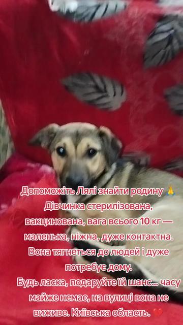 @viktoria)