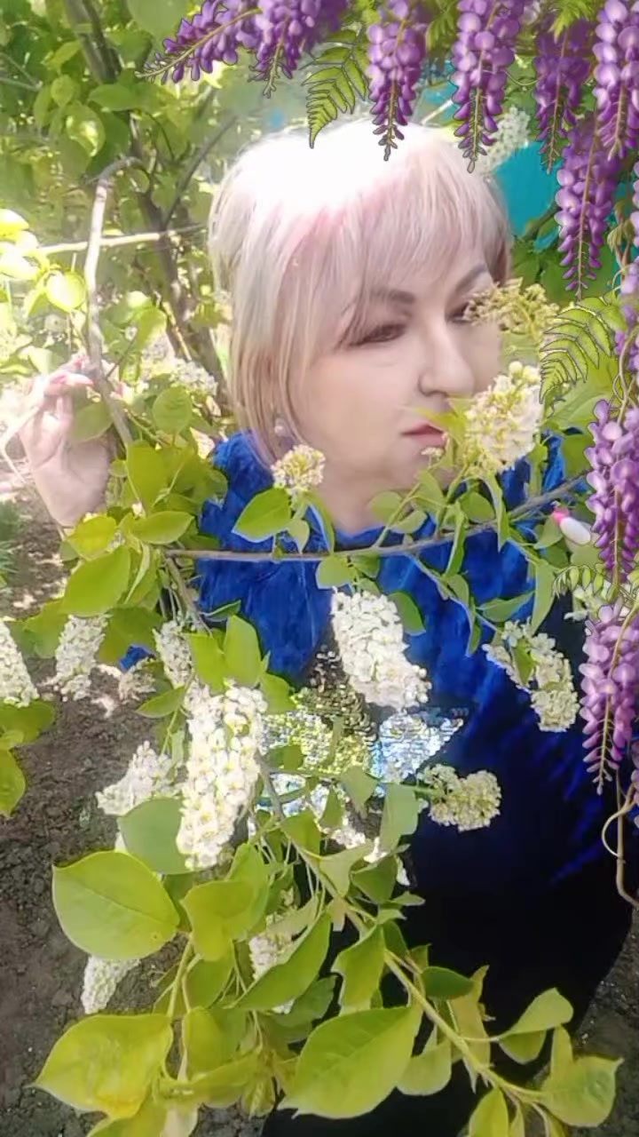 @꧁༺ 𝓞𝓵𝓰𝓪 ༻꧂