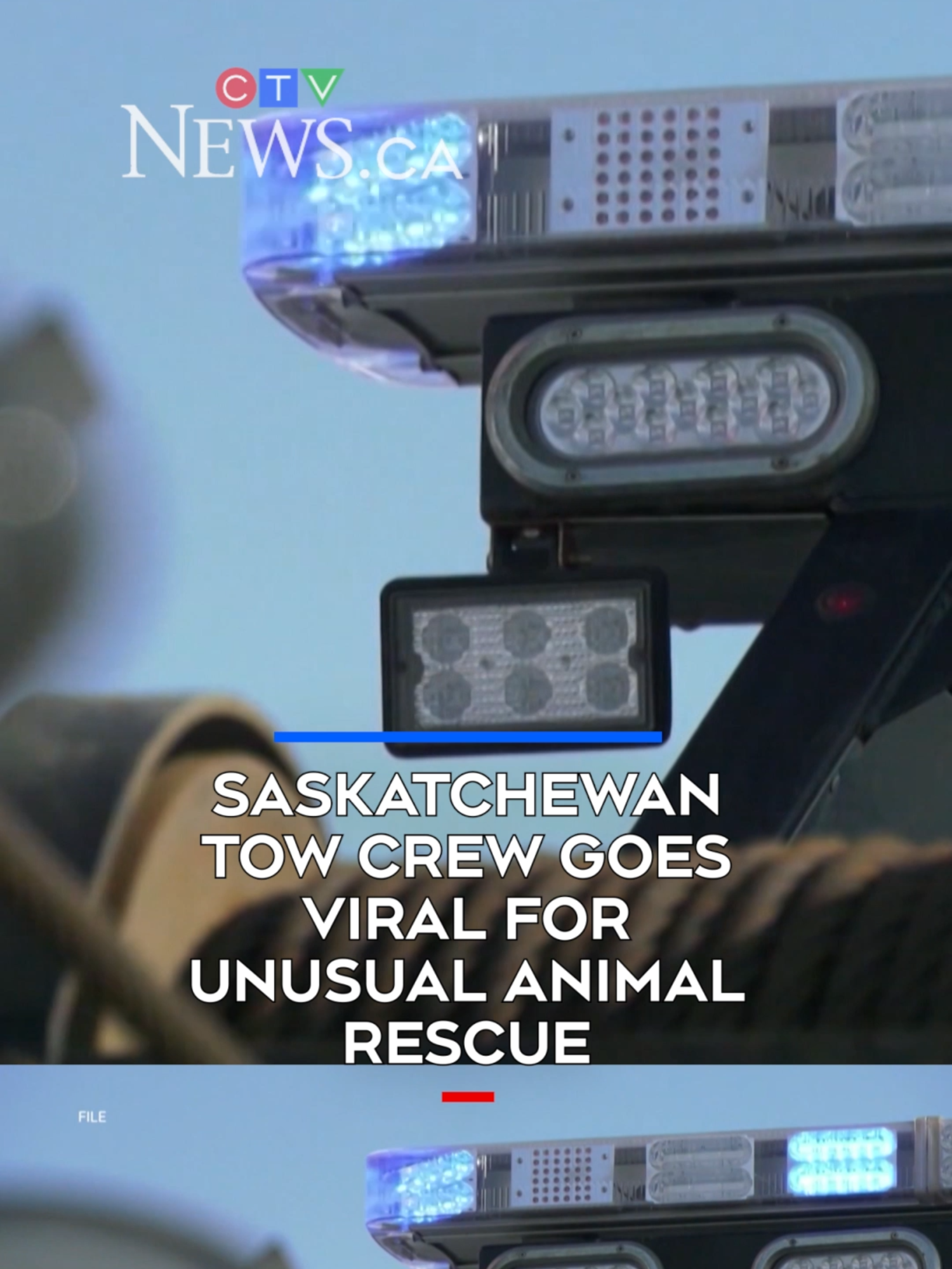 @CTVNews