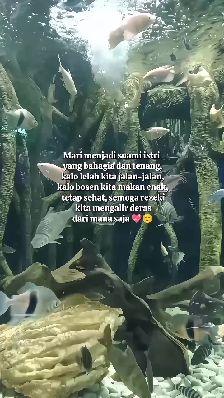 @maa🌷