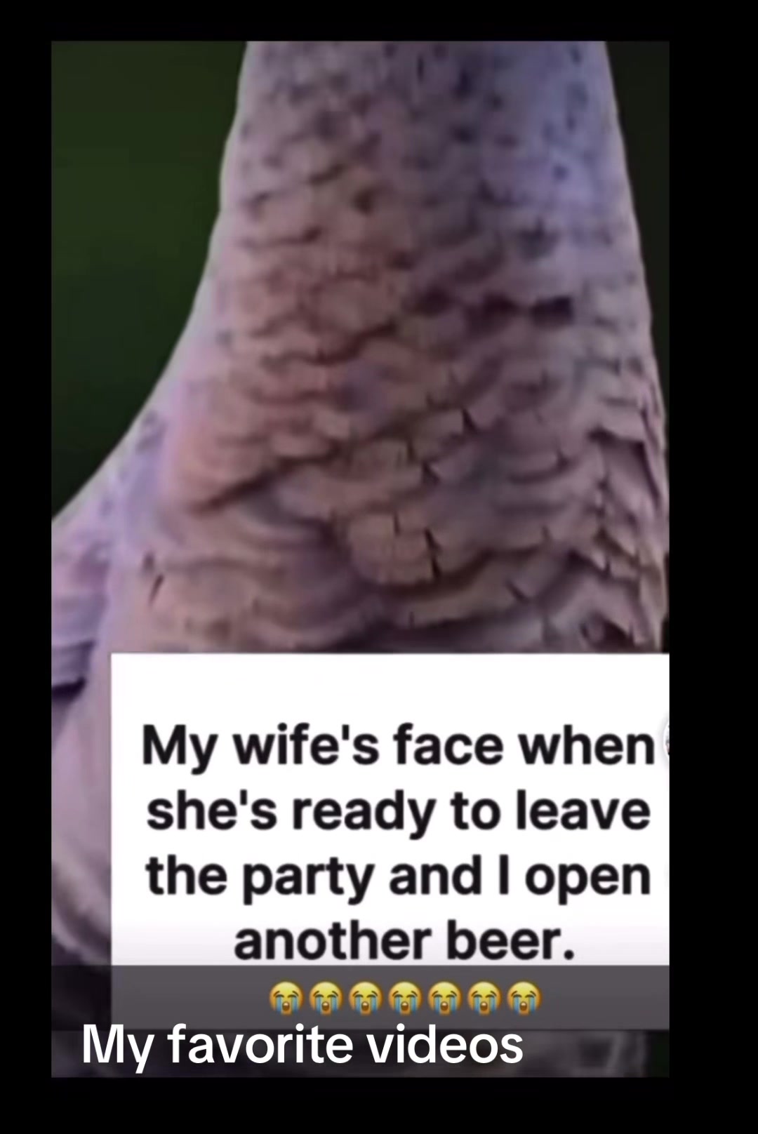 @my favorite videos