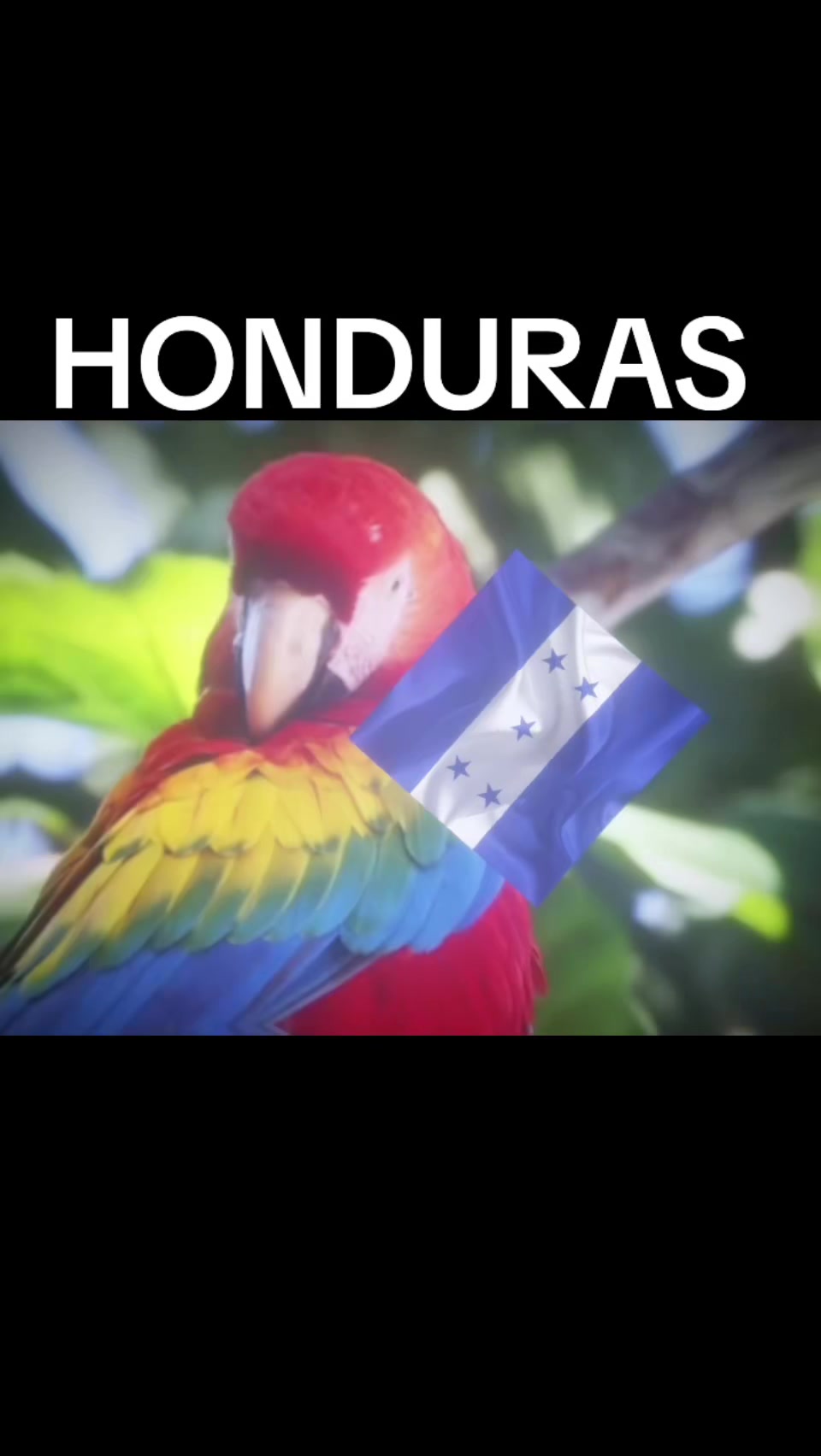@💙🇭🇳 HONDURAS 🇭🇳💙