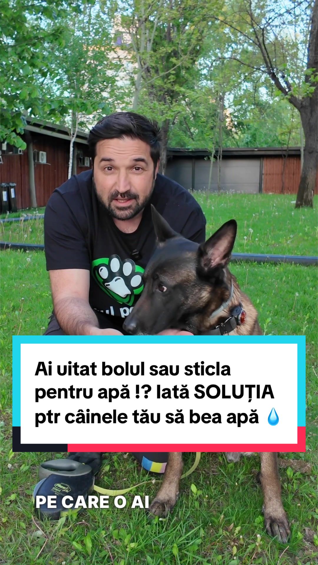 @Tudor-Tim Ionescu