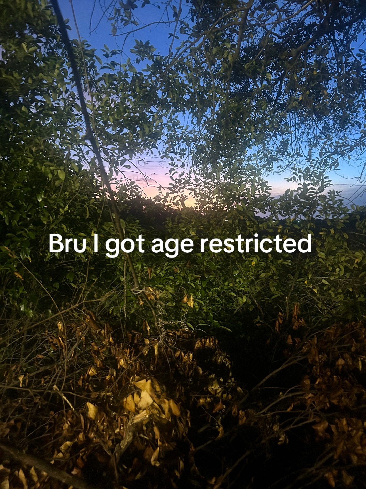 @🦆850_Leland🦆