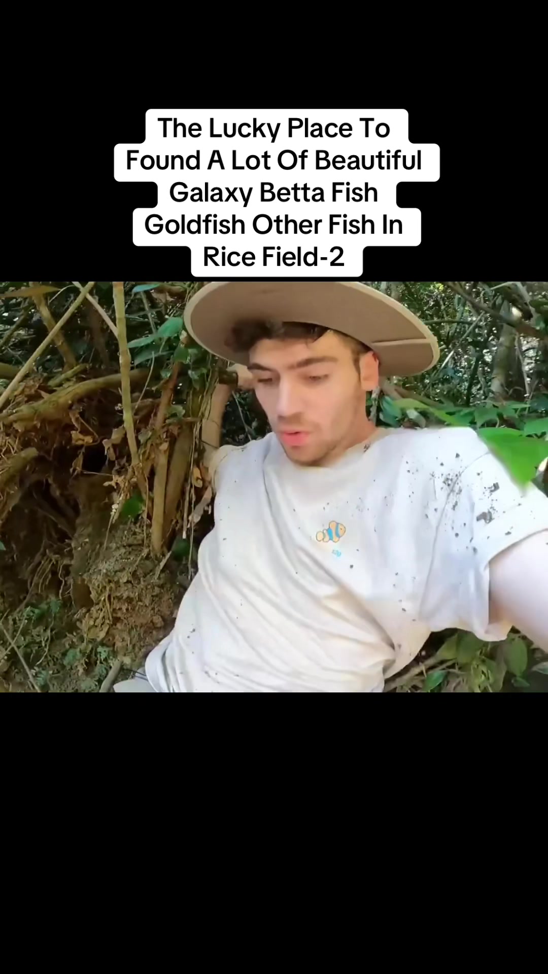 @user2229180201810