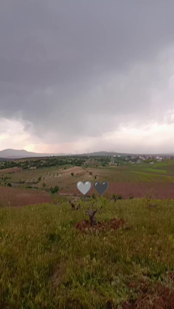 @Zeyno g&uuml;nn