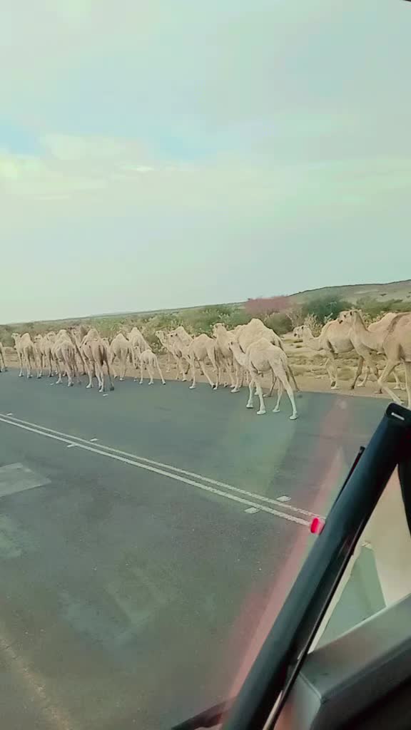 @عامر۔عباسی۔مری۔۔