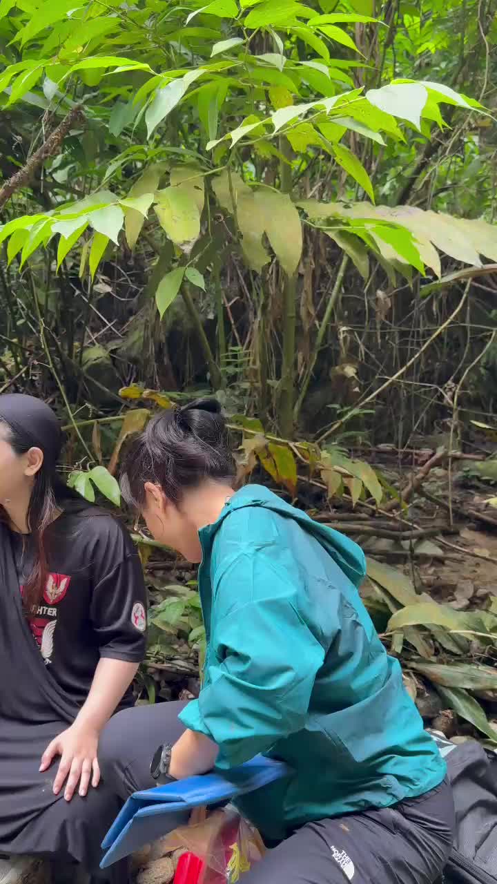 @jijo78