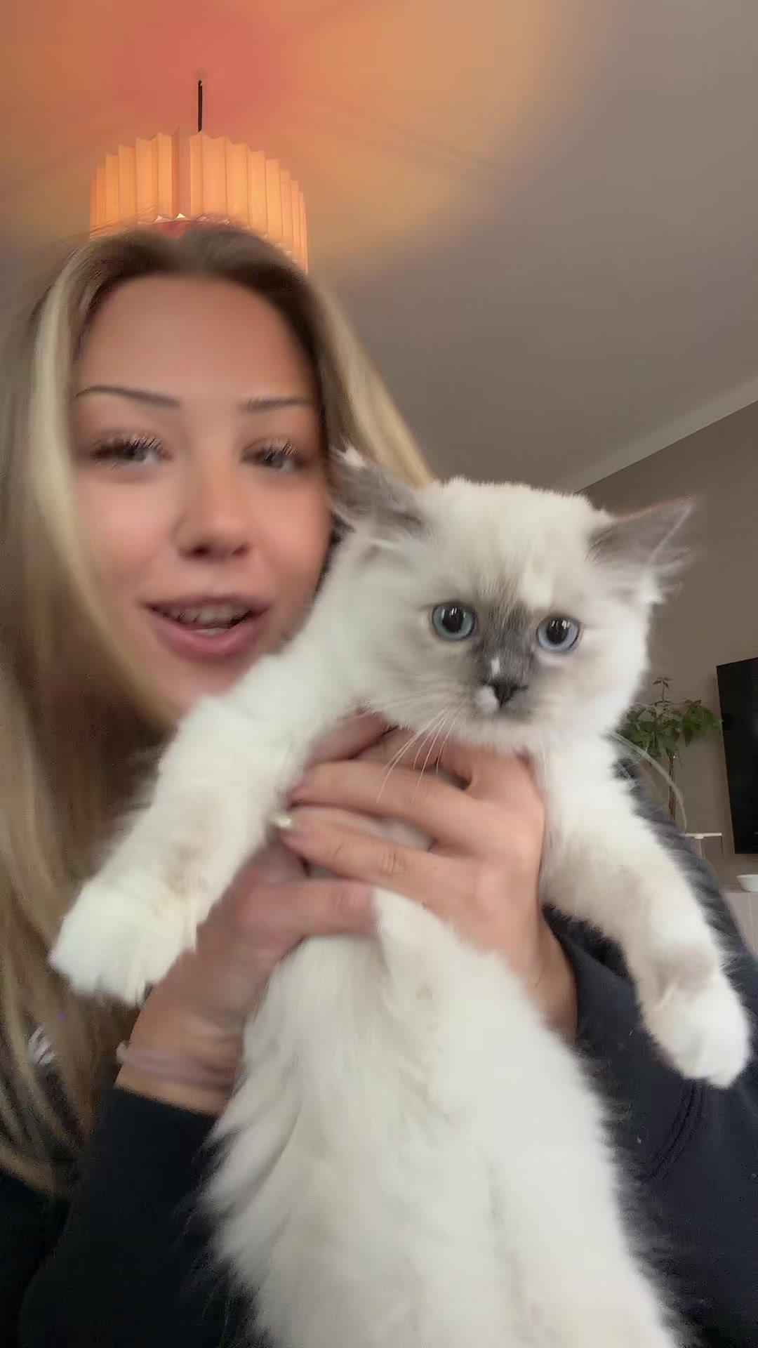 @juliaringblom