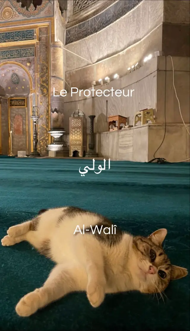 @Nuriyah 🤍