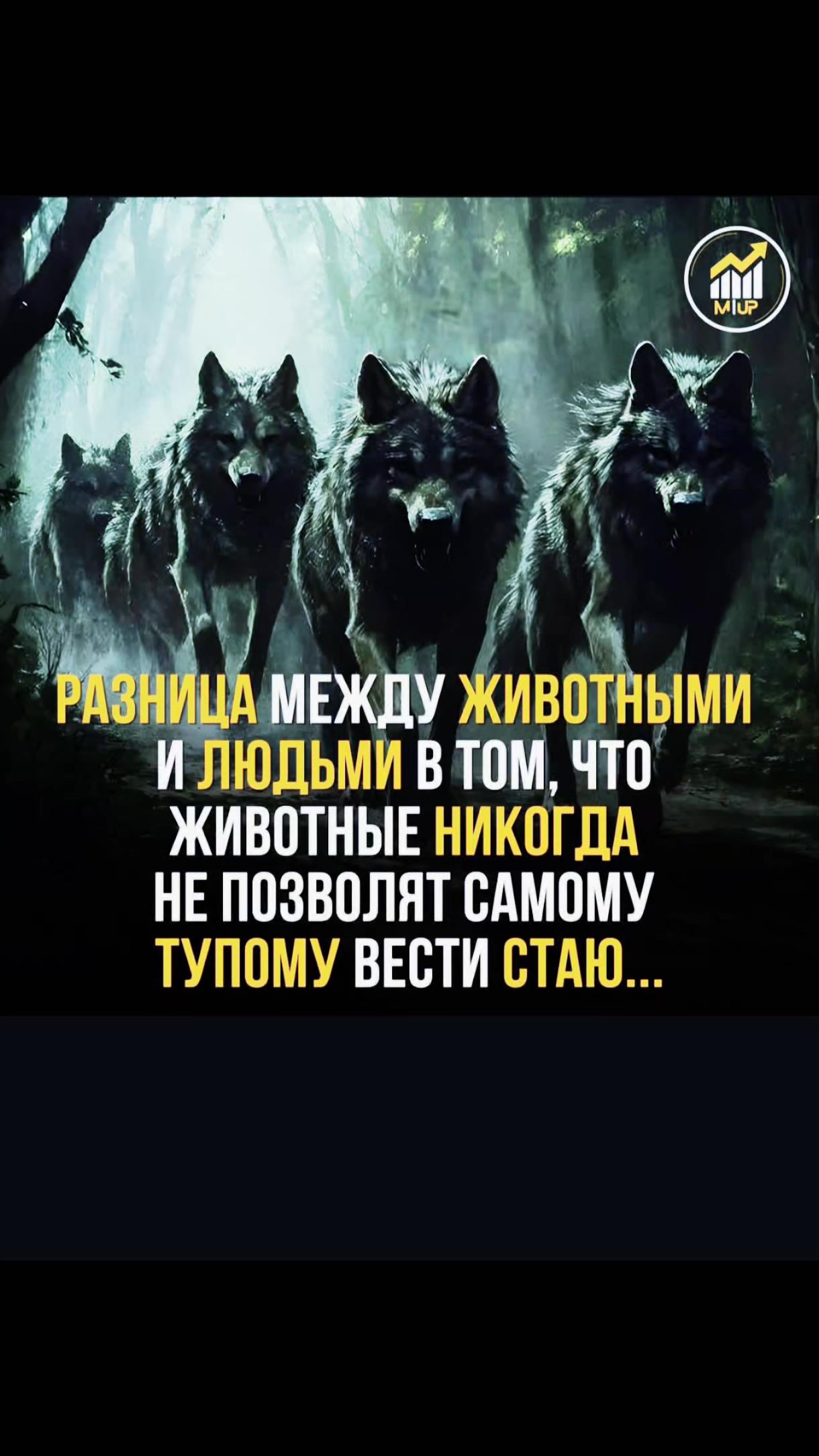 @Людмила Лех