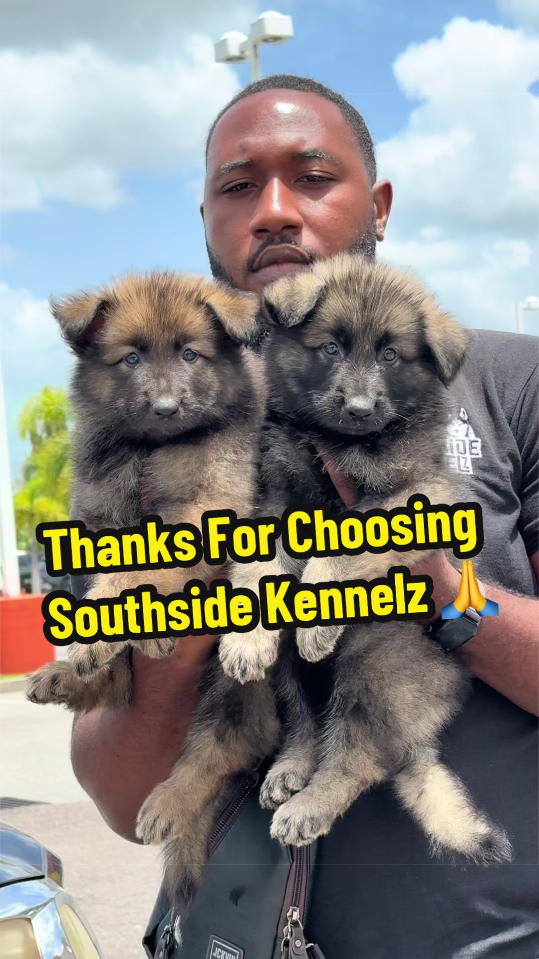 @SouthSide Kennelz