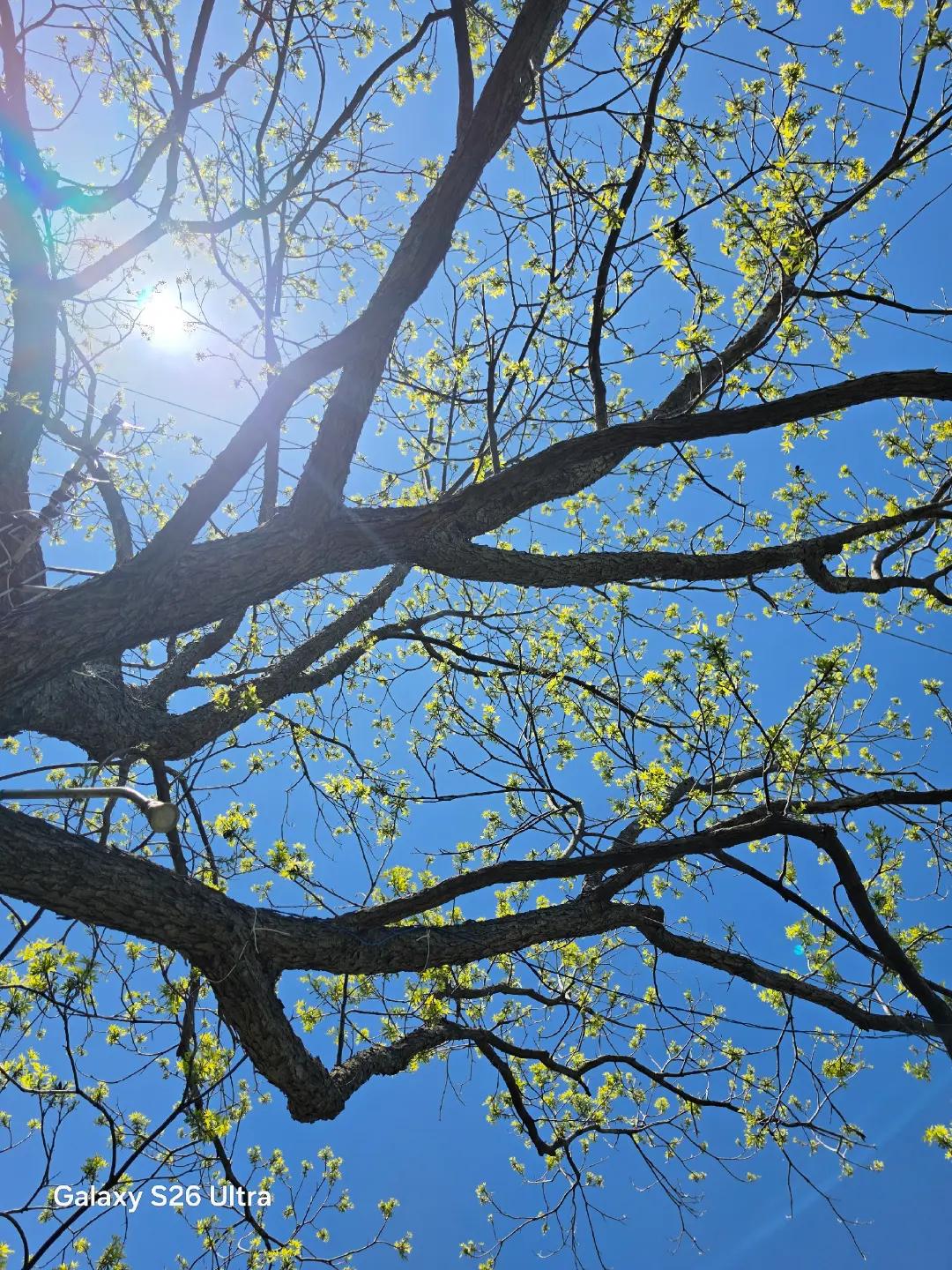 @𝘬ꫀ𝓽ꪗ☀️🐞