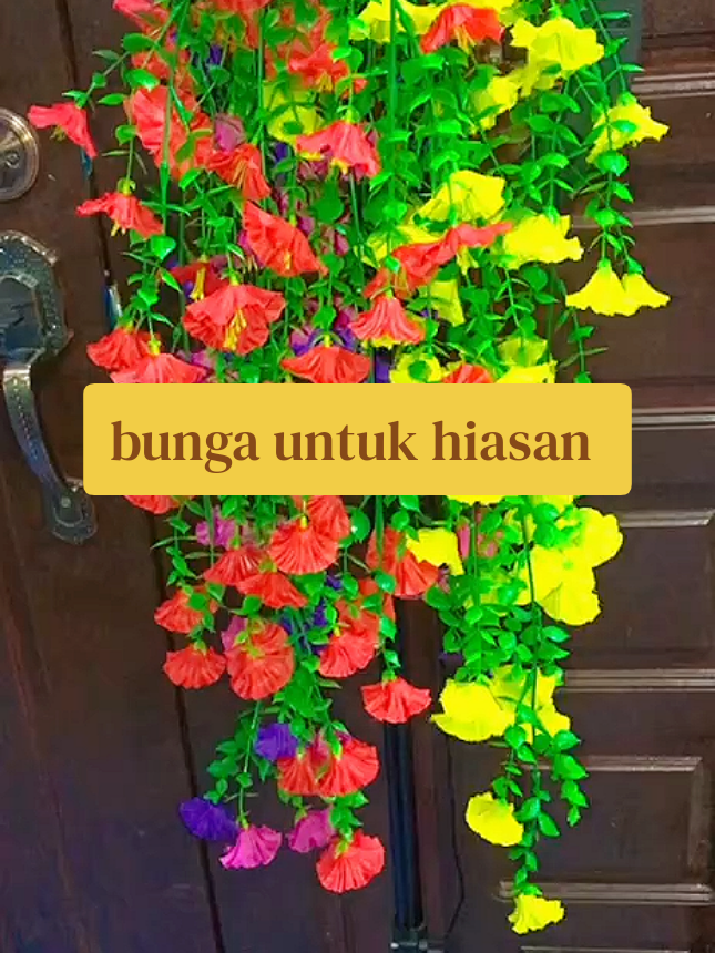 @hi yOu  !