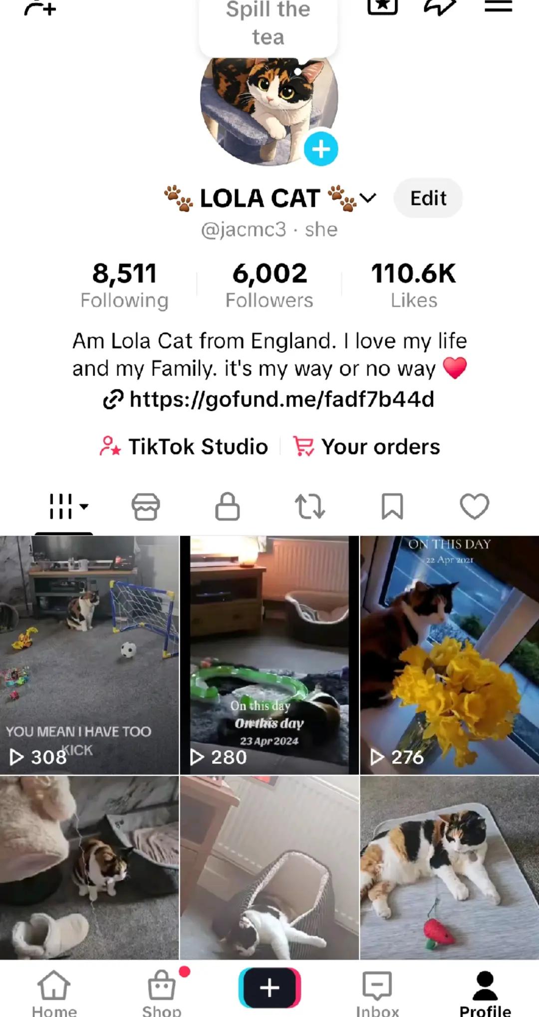 @🐾 LOLA CAT 🐾