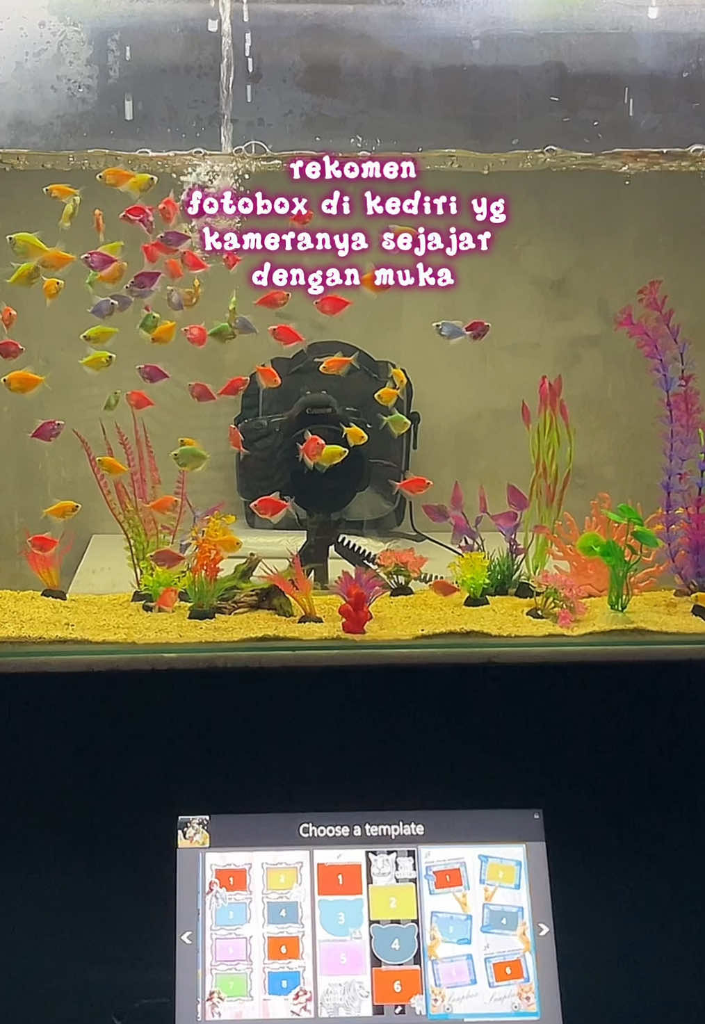 @Snapbox studios Kediri