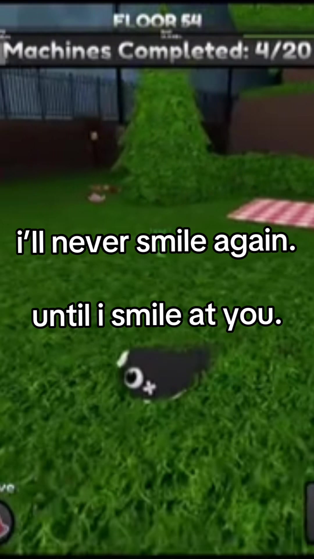 @𓆩♡𓆪