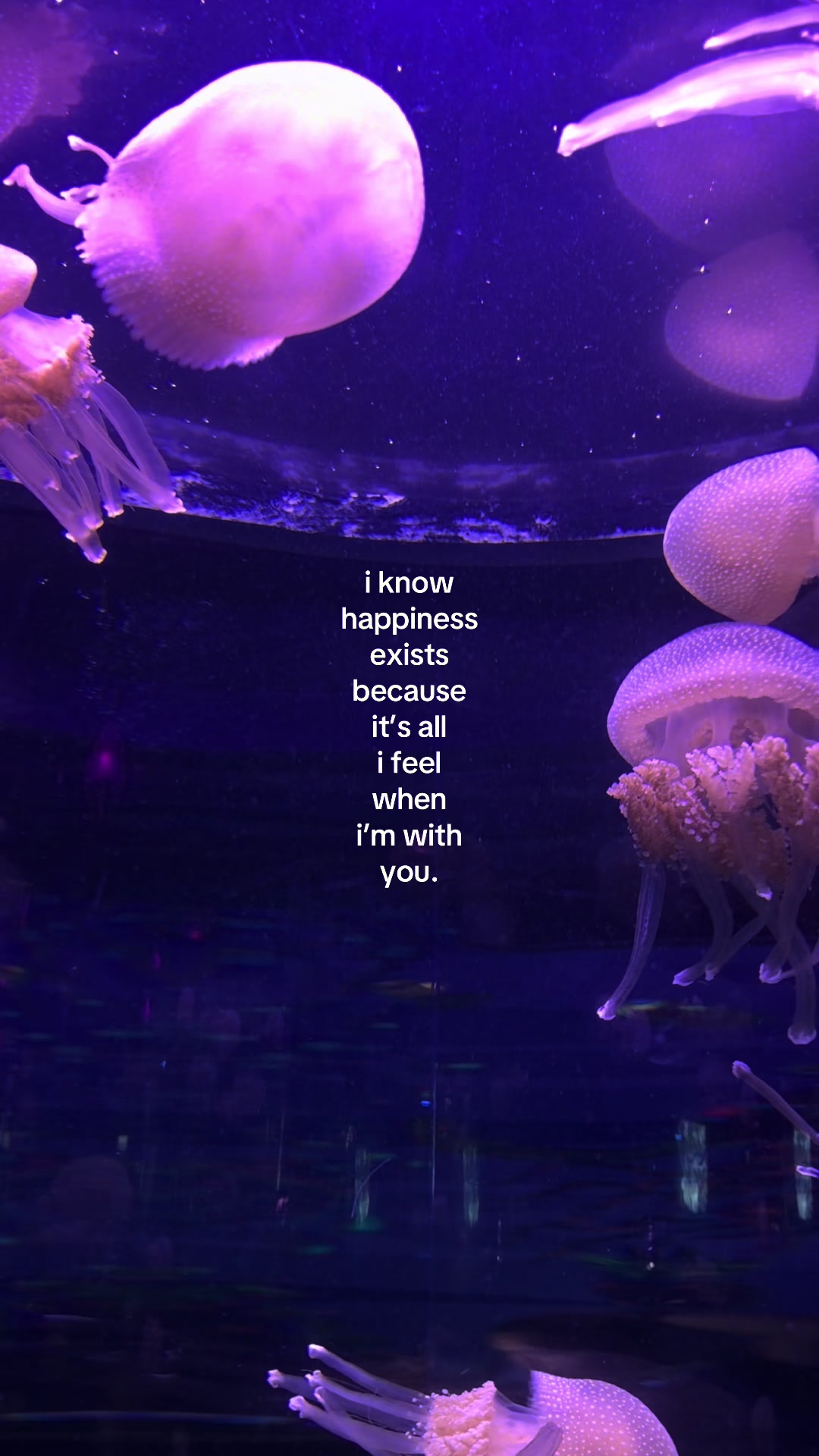 @something i couldn&rsquo;t say
