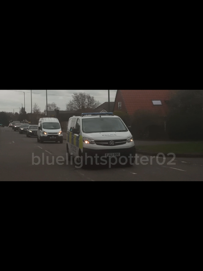 @blue light spotter02