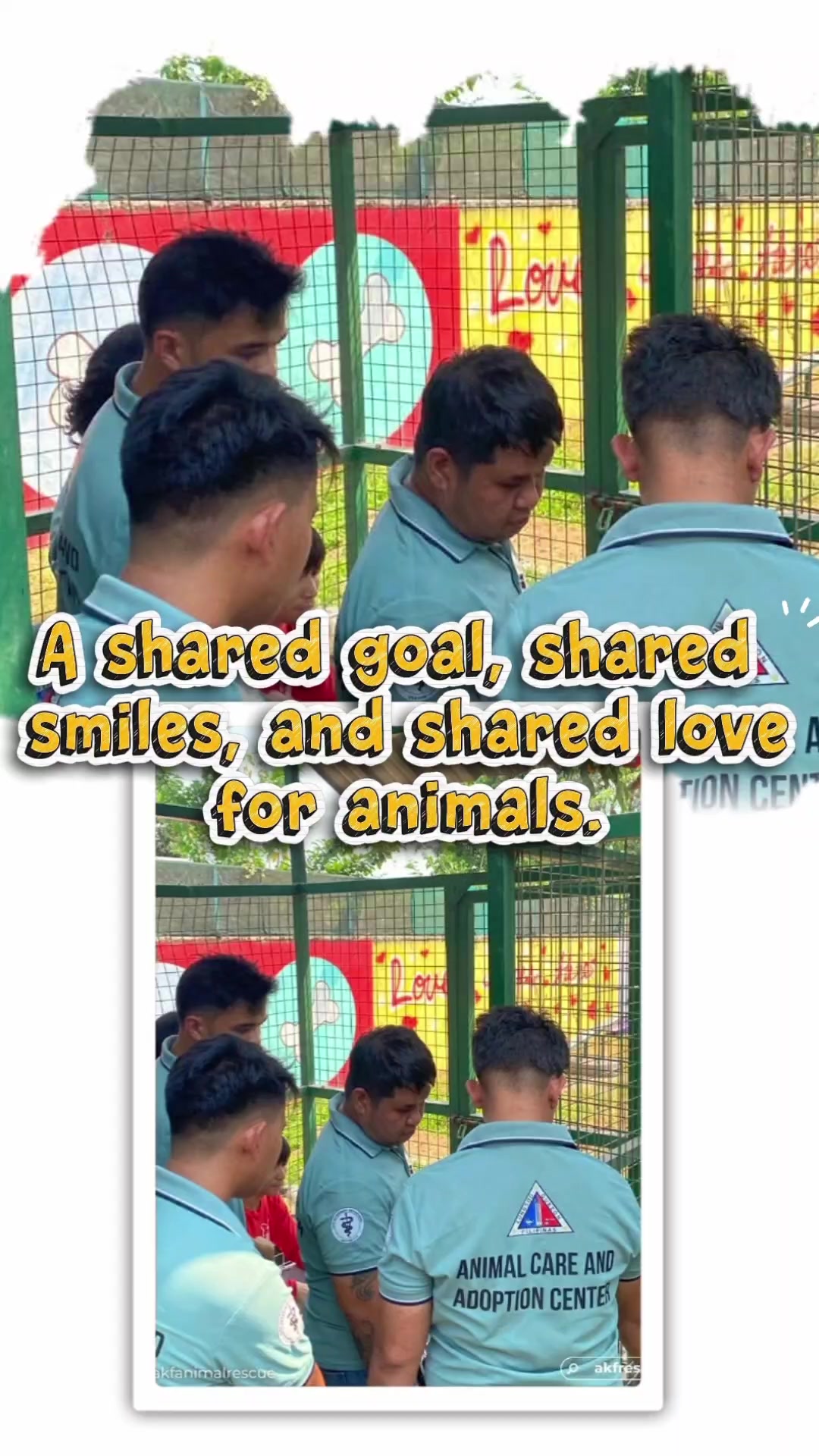 @AnimalKingdomFoundation