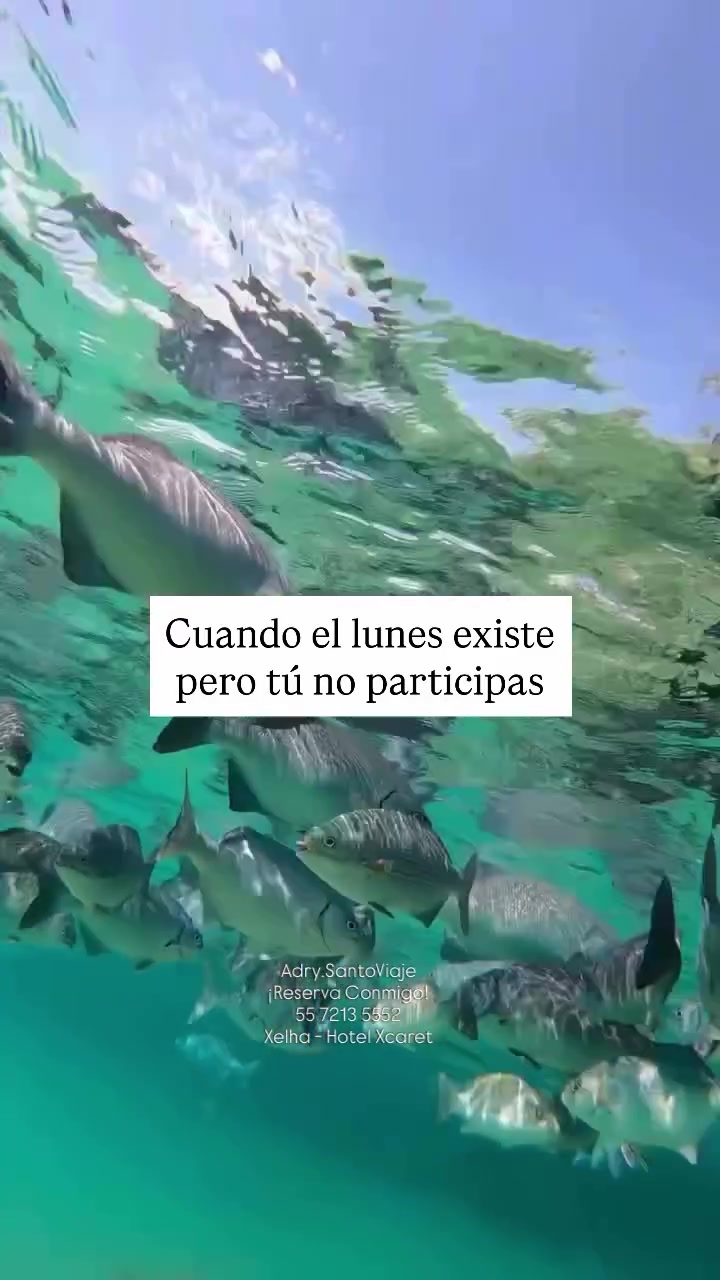 @Adry.SantoViaje