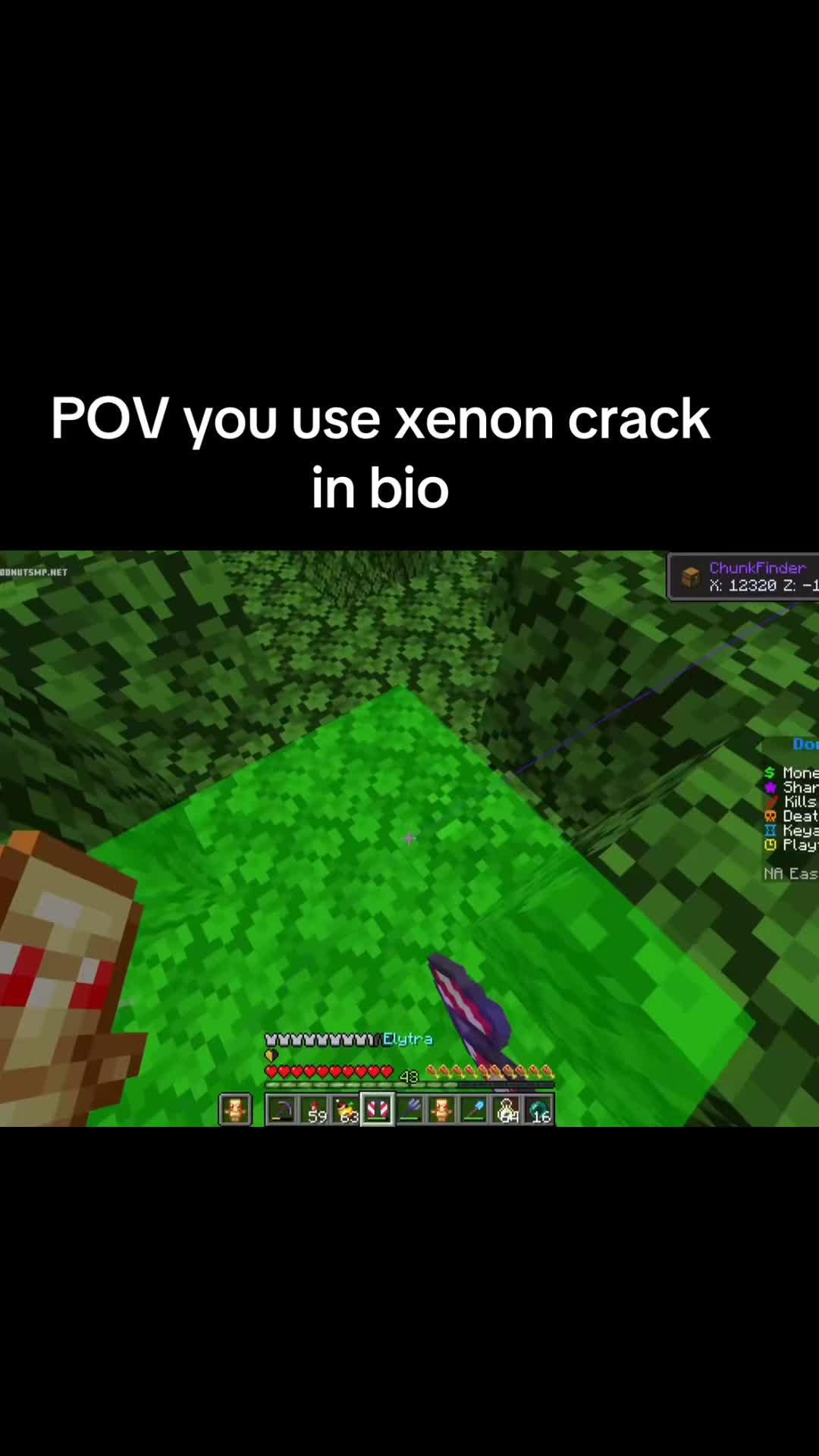 @XenonClient Official