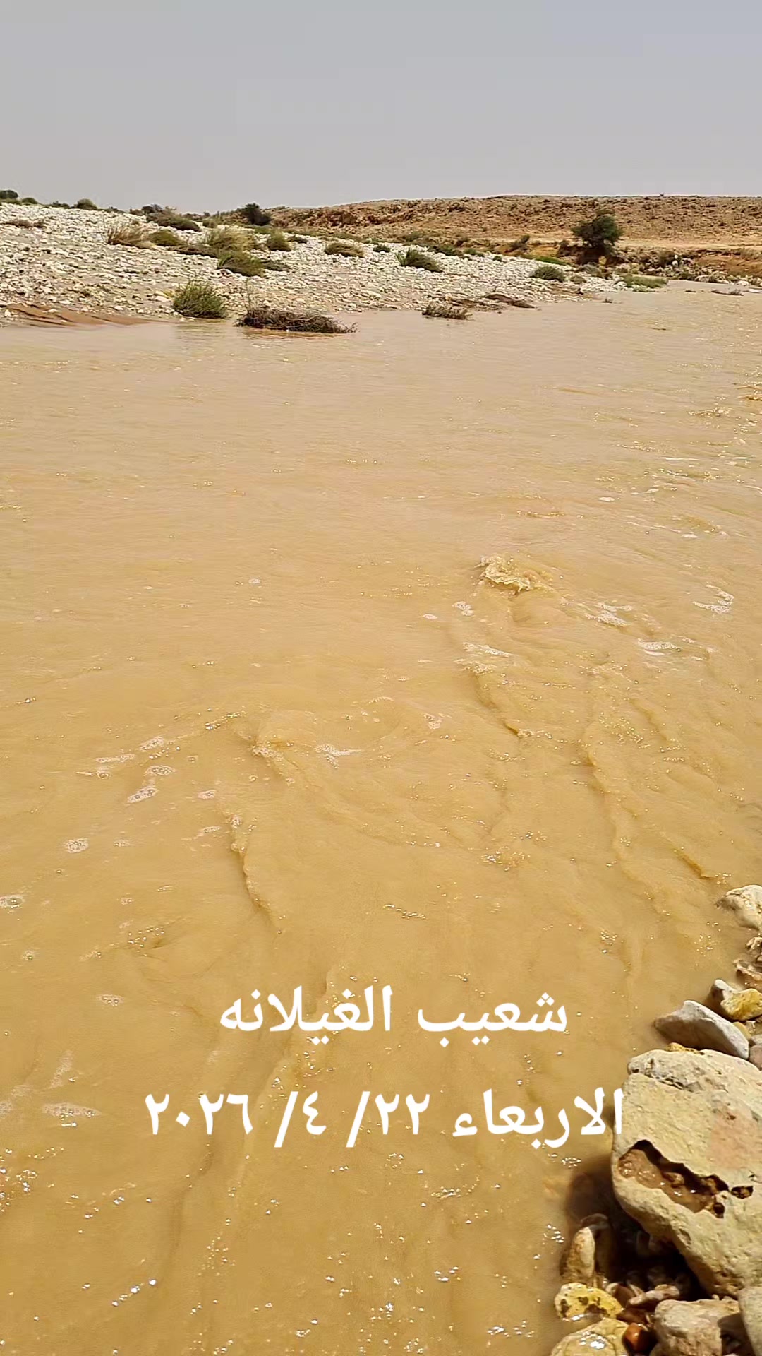 @userعبدالله العزام