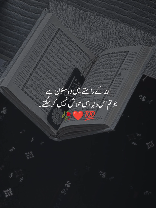 @اقصیٰ 🦋
