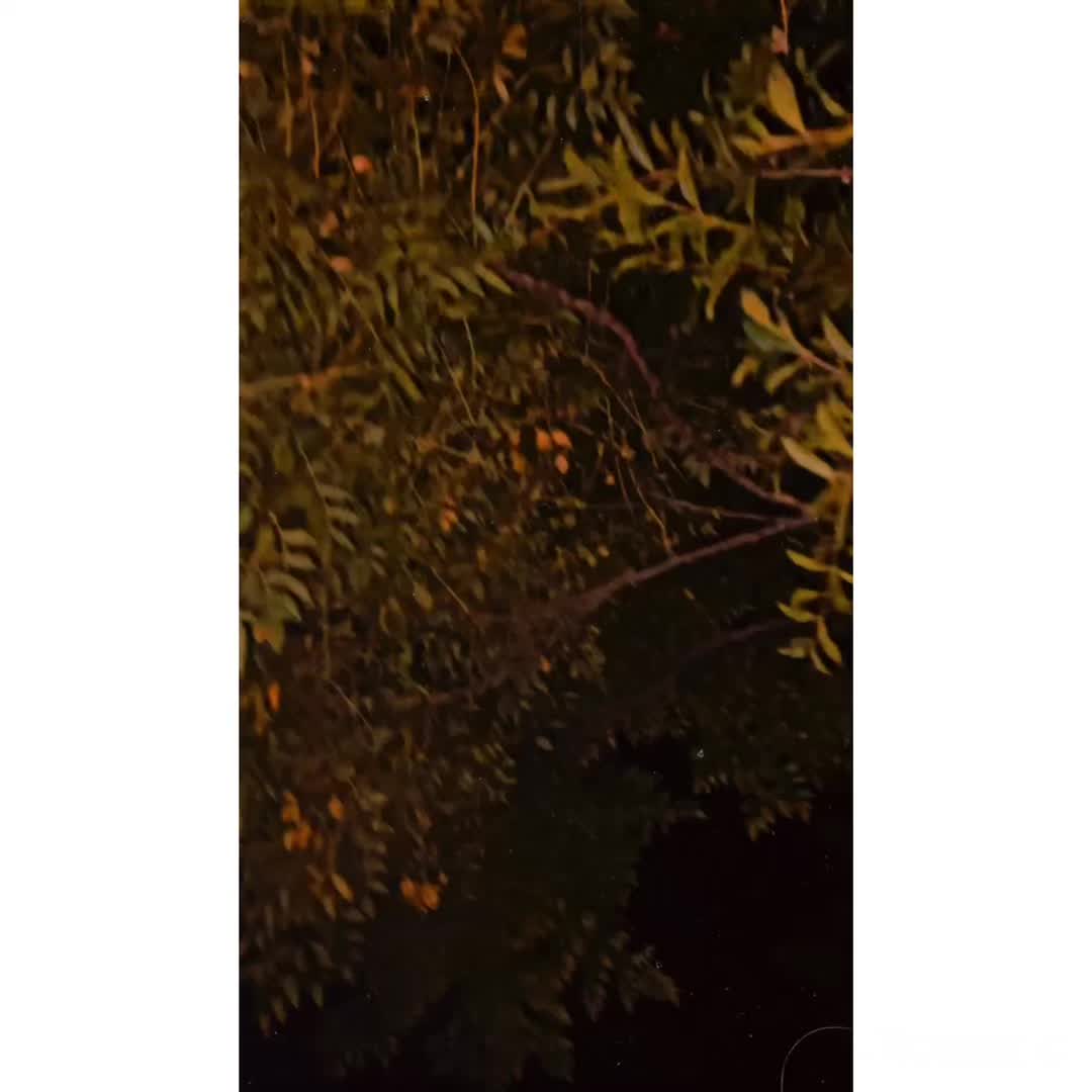 @𝐓𝐇𝐄𝐖 &bull;̀ᴗ&bull;́ 𓆩𝐍𝐎𝐌𝐈𓆪 🖤