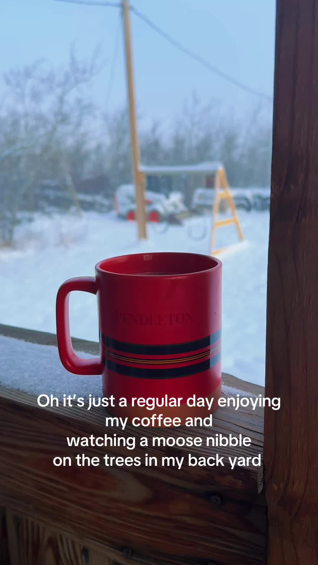 @Autumn