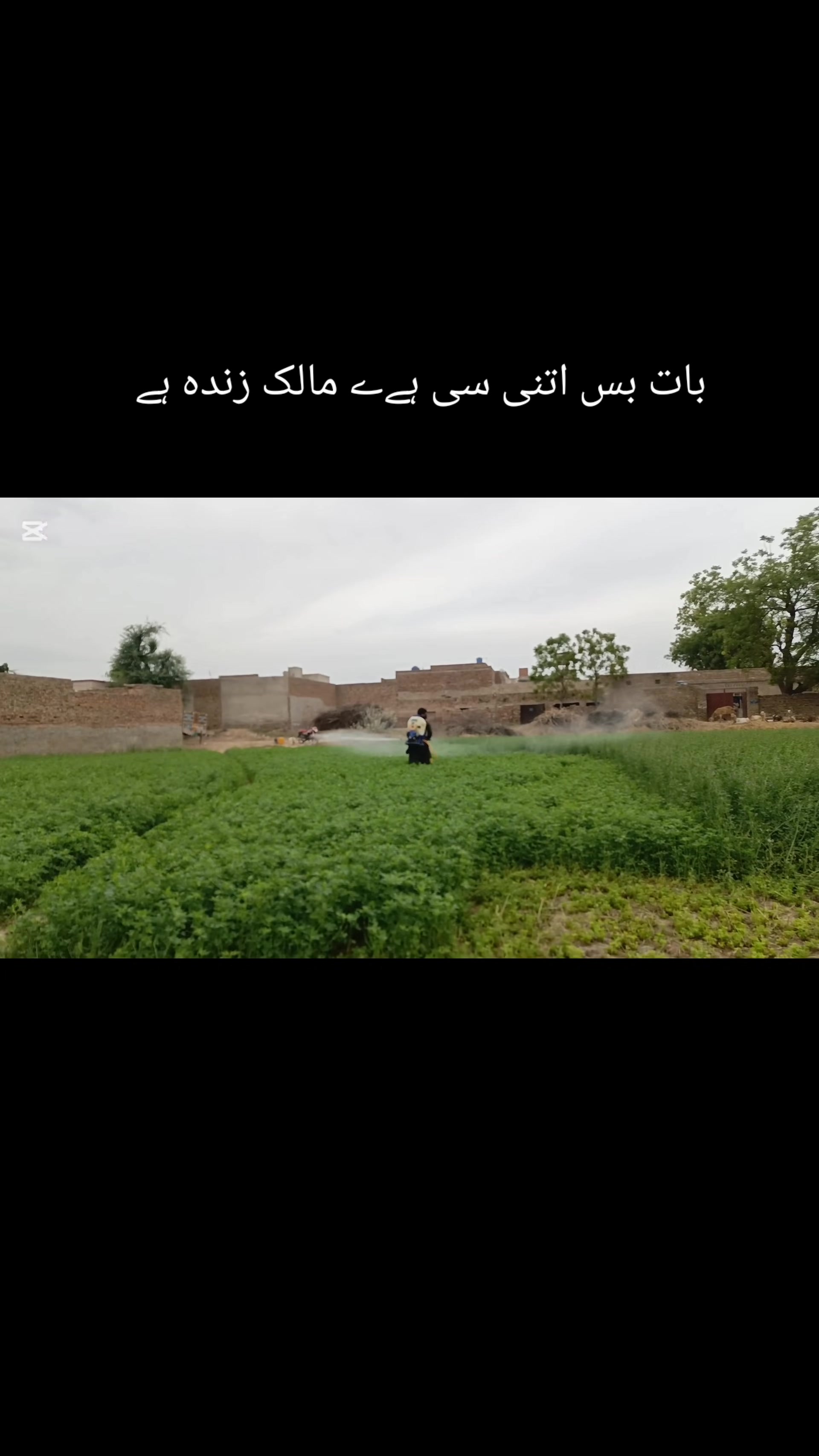 @Mr.Tori.Farming (pathologist)