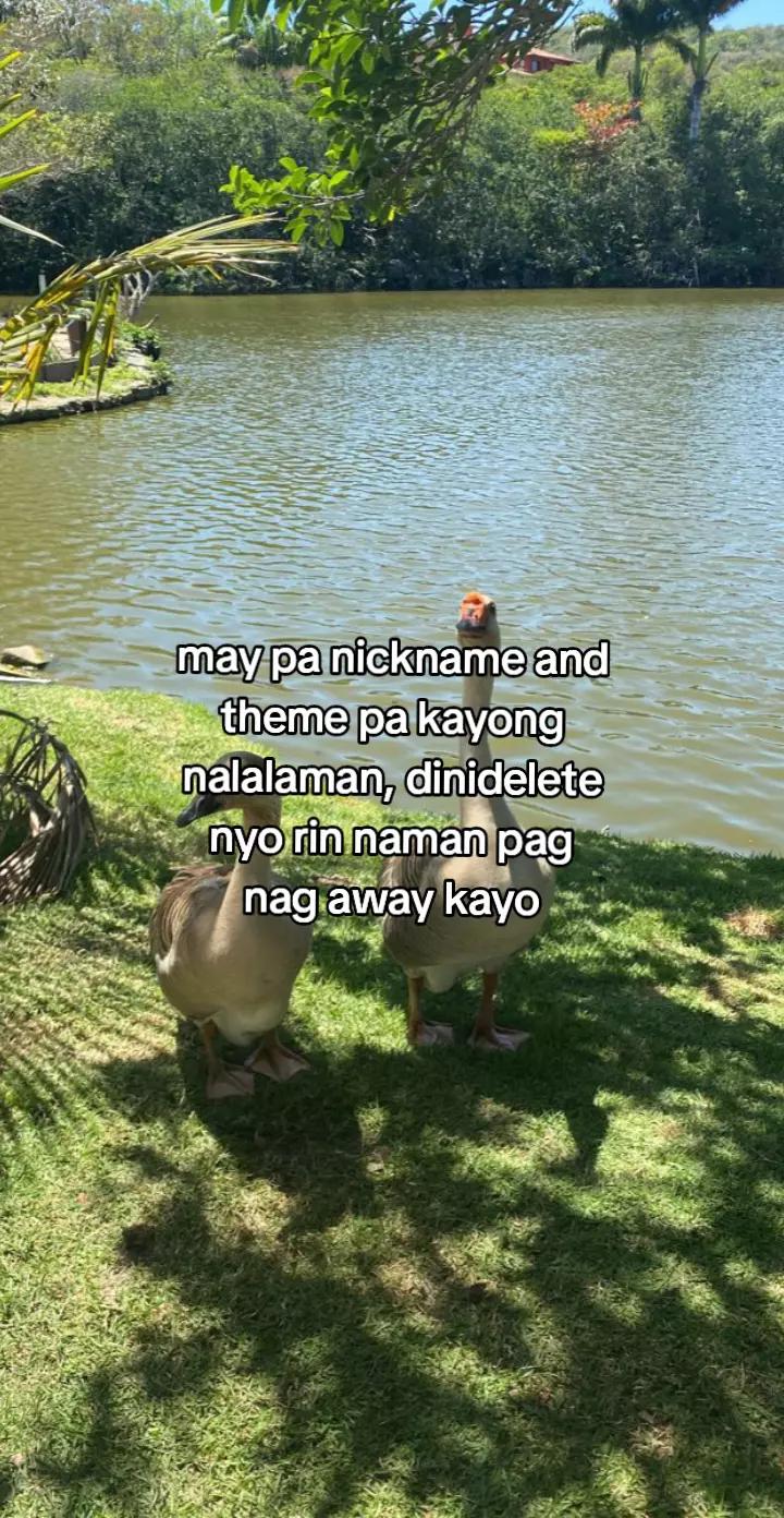 @𝘊𝘩4𝘳𝘥𝘴.