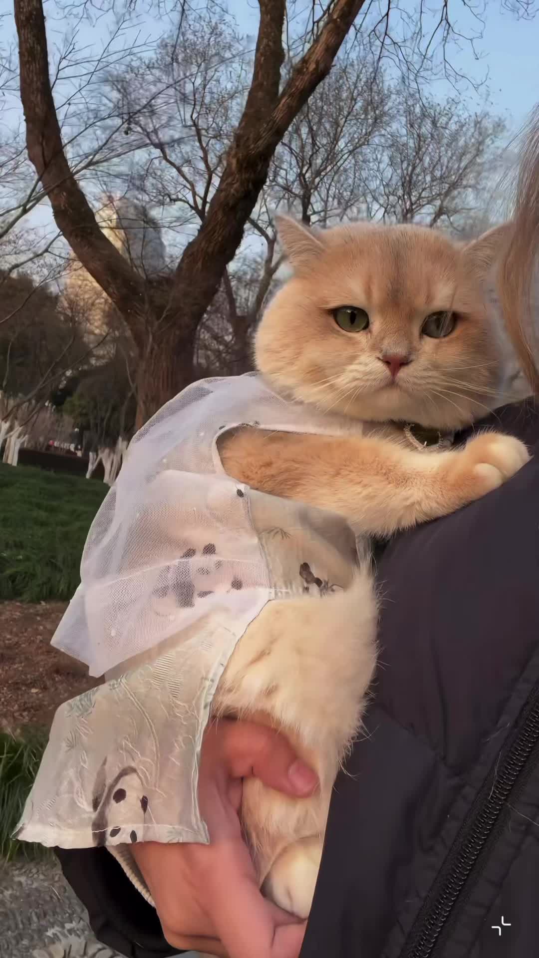 @My Daily Dose of Aww